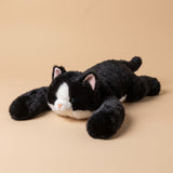Katze
